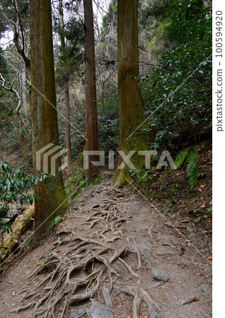 高尾山國道6號線 100594920