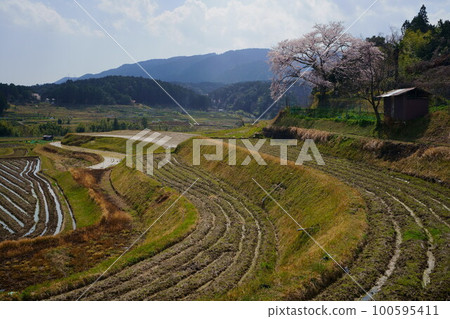 Terraced paddy field (ogi, otsu, siga, Otsu City, Shiga Prefecture) Terraced paddy field (ogi, otsu, siga, Otsu City, Shiga Prefecture) 100595411