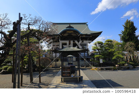 Hakonegasaki, Mizuho-cho, Nishitama-gun 100596418