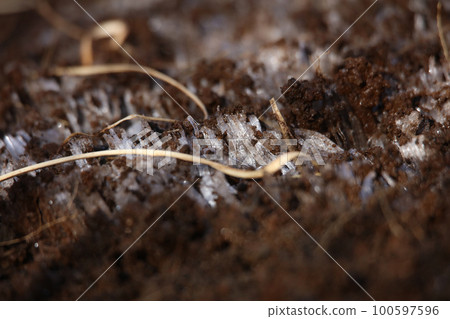 frost pillar frost pillar 100597596