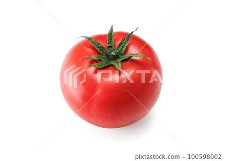 番茄白色背景白色背景 100598002