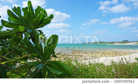 landscape of okinawa uza beach okinawa prefecture yomitan village landscape of okinawa uza beach okinawa prefecture yomitan village 100599561