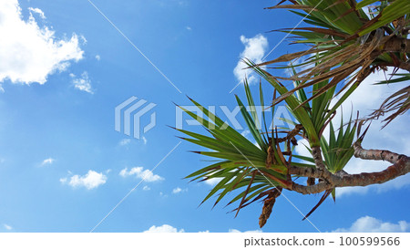 sky of okinawa okinawa prefecture yomitan village usa beach sky of okinawa okinawa prefecture yomitan village usa beach 100599566