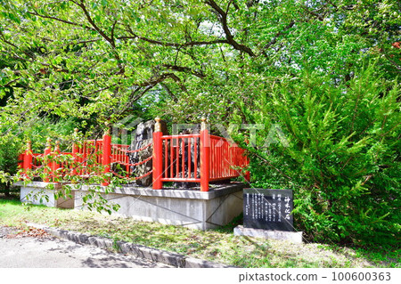 Hotokuyama Inari Taisha Sacred Tree Fossil (Niigata Prefecture) Hotokuyama Inari Taisha Sacred Tree Fossil (Niigata Prefecture) 100600363