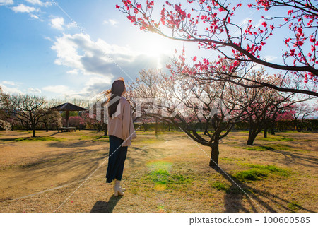 梅花和婦女 100600585