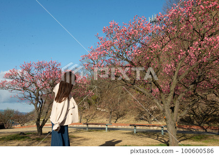 梅花和婦女 梅花和婦女 100600586