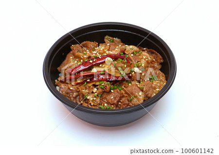 Buta-don, Authentic Japanese cuisine. Pork rice bowl on white background Buta-don, Authentic Japanese cuisine. Pork rice bowl on white background 100601142