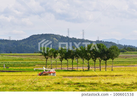 池原波佐木(新潟縣) 池原波佐木(新潟縣) 100601538