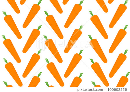 yellow ripe fresh carrot with green leaves growing in the ground on the farm background vector illustration 100602256