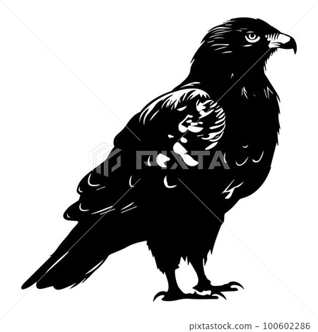 the black silhouette of an eagle stands calmly. 100602286