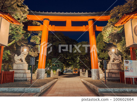 Torii Gate at Shrine 100602664
