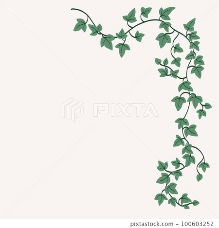 Floral ivy drawing decorative ornament flat design. 100603252