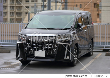 black minivan 100603597