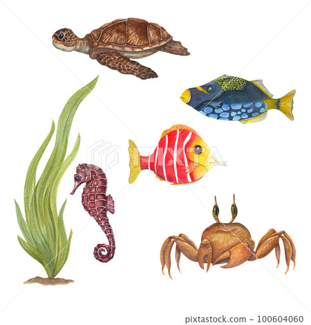 Watercolor sea set with cute crab, fishes, seahorse, turtle and seaweed isolated on white background. For baby textile, wallpaper, nursery decoration. Cartoon style. Watercolor sea set with cute crab, fishes, seahorse, turtle and seaweed isolated on white background. For baby textile, wallpaper, nursery decoration. Cartoon style. 100604060