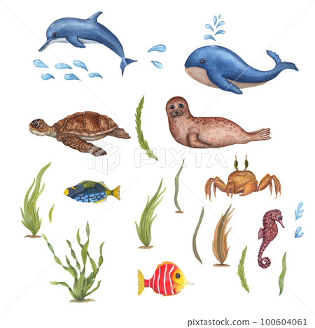 Watercolor sea set with cute whale, dolphin, fur seal, crab, fishes, seahorse, turtle and seaweeds isolated on white background. For baby textile, wallpaper, nursery decoration. Cartoon style. Watercolor sea set with cute whale, dolphin, fur seal, crab, fishes, seahorse, turtle and seaweeds isolated on white background. For baby textile, wallpaper, nursery decoration. Cartoon style. 100604061