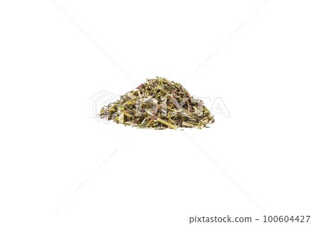 Catnip herb in latin - Nepeta cataria heap isolated on white background. Catnip herb in latin - Nepeta cataria heap isolated on white background. 100604427