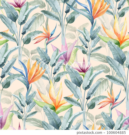 watercolor seamless pattern. floral background tropical blooming flowers and leaves. Plants and flowers of Australia. for fabric, textile, roll wallpaper, design, cards, invitations, stickers, wedding watercolor seamless pattern. floral background tropical blooming flowers and leaves. Plants and flowers of Australia. for fabric, textile, roll wallpaper, design, cards, invitations, stickers, wedding 100604885