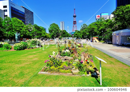 大通公園（北海道札幌市中央區） 100604946