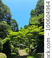 Hyuga Grand ShrineJune 100604964