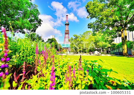 Odori Park (Chuo Ward, Sapporo City, Hokkaido) Odori Park (Chuo Ward, Sapporo City, Hokkaido) 100605331