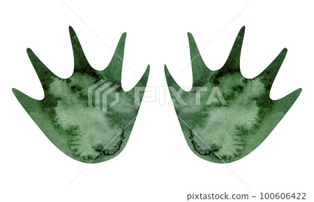 Animal tracks. Animal feet silhouette. Path for walking on the paws of wild animals or footprints. Watercolor footprints. 100606422