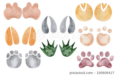 Animal tracks. Animal feet silhouette. Path for walking on the paws of wild animals or footprints. Watercolor footprints. Animal tracks. Animal feet silhouette. Path for walking on the paws of wild animals or footprints. Watercolor footprints. 100606427