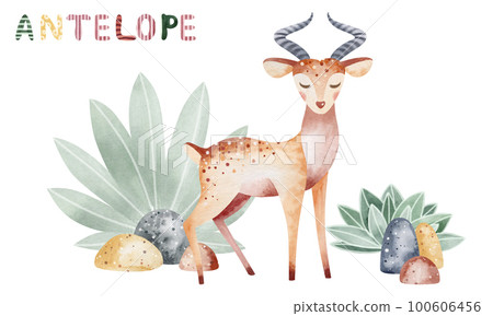 Antelope animal watercolor illustration. Childish illustration of a cartoon animal. Development picture. 100606456