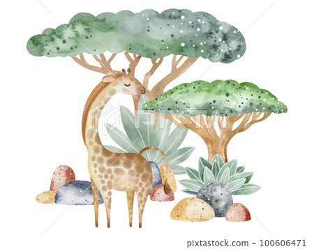 Watercolor illustration of an alligator in nature. Children's illustration of an animal. Book drawing. Watercolor illustration of an alligator in nature. Children's illustration of an animal. Book drawing. 100606471