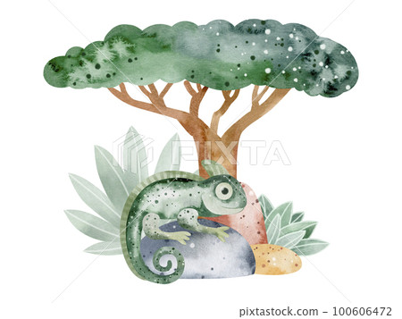 Watercolor illustration of an alligator in nature. Children's illustration of an animal. Book drawing. Watercolor illustration of an alligator in nature. Children's illustration of an animal. Book drawing. 100606472