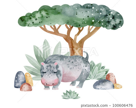Watercolor illustration of an alligator in nature. Children's illustration of an animal. Book drawing. Watercolor illustration of an alligator in nature. Children's illustration of an animal. Book drawing. 100606476