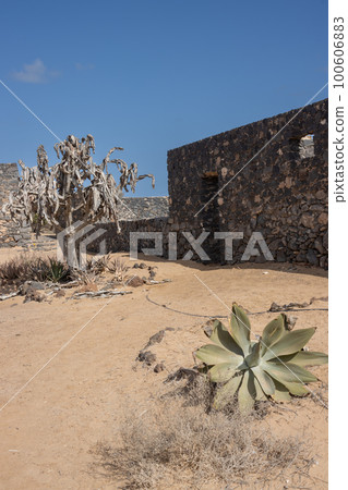 Historical buiding and dry cactus, Fuerteventura 100606883