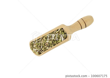 Catnip herb in latin - Nepeta cataria in wooden scoop isolated on white background. Medicinal herb. 100607175