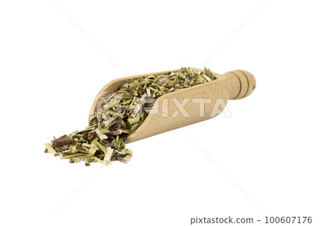 Catnip herb in latin - Nepeta cataria in wooden scoop isolated on white background. Medicinal herb. 100607176