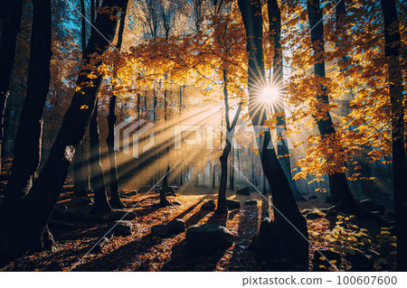 Autumn forest nature. A bright morning in a colorful. Illustration AI Generative Autumn forest nature. A bright morning in a colorful. Illustration AI Generative 100607600