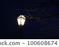 Festival of Lights 2023., picturesque installations, Zagreb, Croatia 100608674