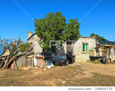 Hut herdsman house yard cat 100608710