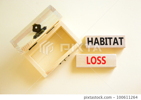 Habitat loss symbol. Concept words Habitat loss on wooden block. Beautiful white table white background. Empthy opened wooden chest. Business habitat loss concept. Copy space. 100611264