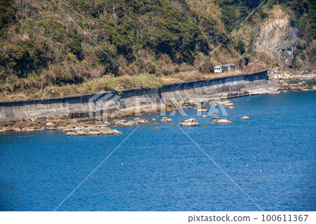 白色的日南線特快海幸山幸號在衝擊南九州藍天碧海的海浪和自然之力創造的奇石下行駛。 100611367