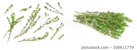 fresh thyme isolated on a white background with  full depth of field, Top view. Flat lay 100611779