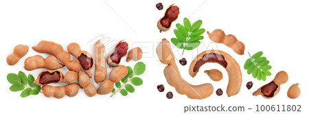 Tamarind fruit with leaf and seed isolated on white background with copy space for your text. Top view. Flat lay 100611802
