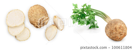 Fresh celery root isolated on white background. Top view. Flat lay. Set or collection 100611804