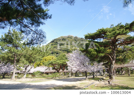 萩城櫻花和志月山 萩城櫻花和志月山 100613004