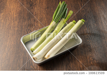 fresh and delicious green onions 100613509