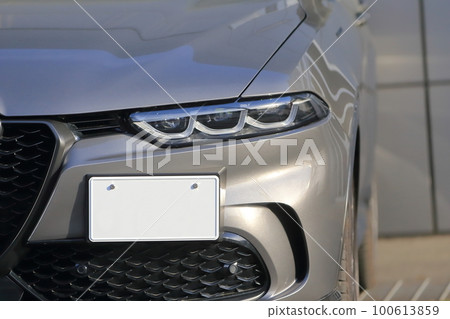 Car headlight 100613859