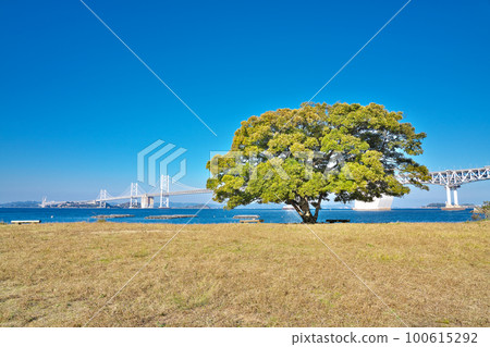 [從沙美中田海灘看到的瀨戶大橋] 香川縣坂出市沙美島 100615292
