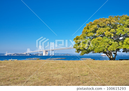 [從沙美中田海灘看到的瀨戶大橋] 香川縣坂出市沙美島 100615293