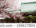 Temples and cherry blossoms Temples and cherry blossoms 100617804
