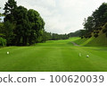 golf  100620039