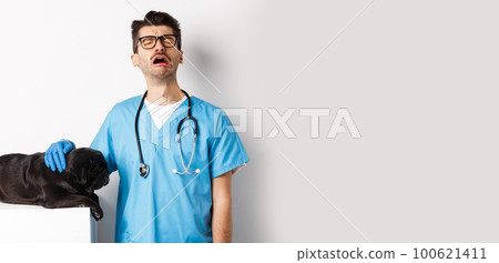 Sad male doctor filling pity for cute black dog pug lying sick on vet clinic table, veterinarian crying and petting puppy, white background Sad male doctor filling pity for cute black dog pug lying sick on vet clinic table, veterinarian crying and petting puppy, white background 100621411