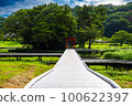 嚴島濕地公園 100622397